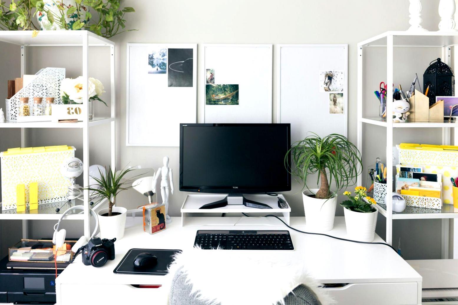 kynarethos office workspace in Riverside Tasmania showing modern business environment